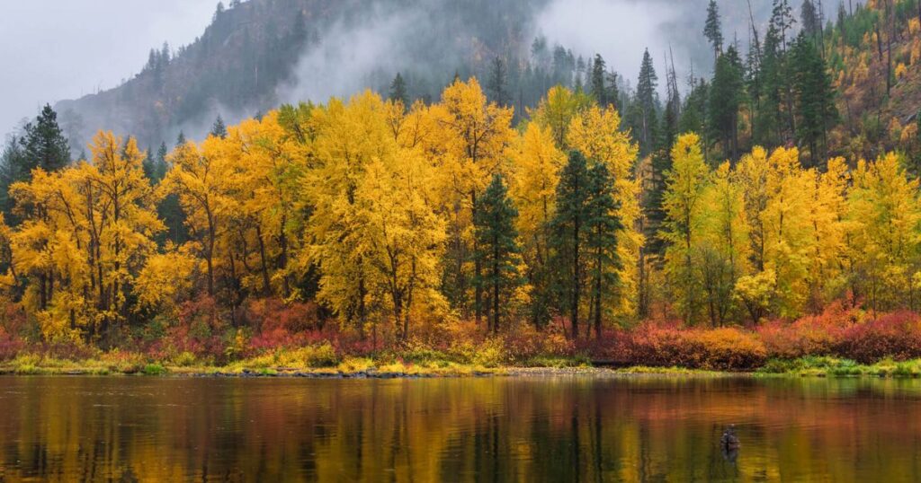 Best Places to Visit in Washington State in Fall